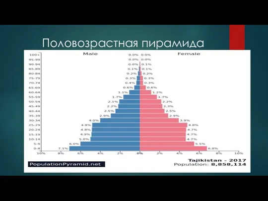 Половозрастная пирамида