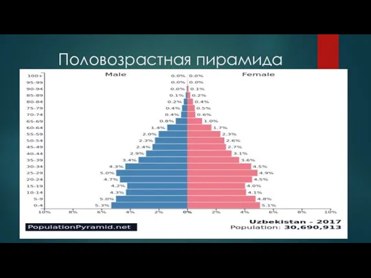 Половозрастная пирамида