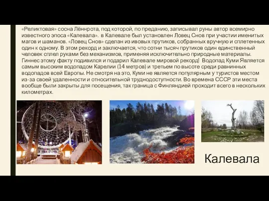 Калевала​ «Реликтовая» сосна Лённрота, под которой, по преданию, записывал руны