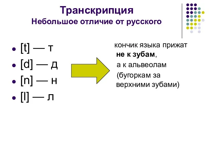 Транскрипция Небольшое отличие от русского кончик языка прижат не к