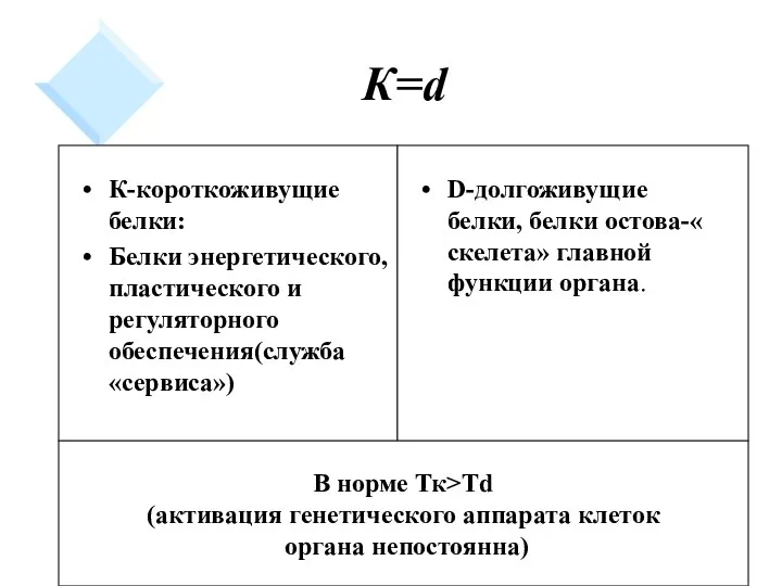 К=d К-короткоживущие белки: Белки энергетического, пластического и регуляторного обеспечения(служба «сервиса»)