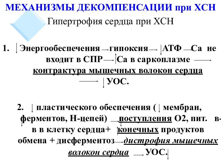 МЕХАНИЗМЫ ДЕКОМПЕНСАЦИИ при ХСН Гипертрофия сердца при ХСН Энергообеспечения гипоксия АТФ Са не