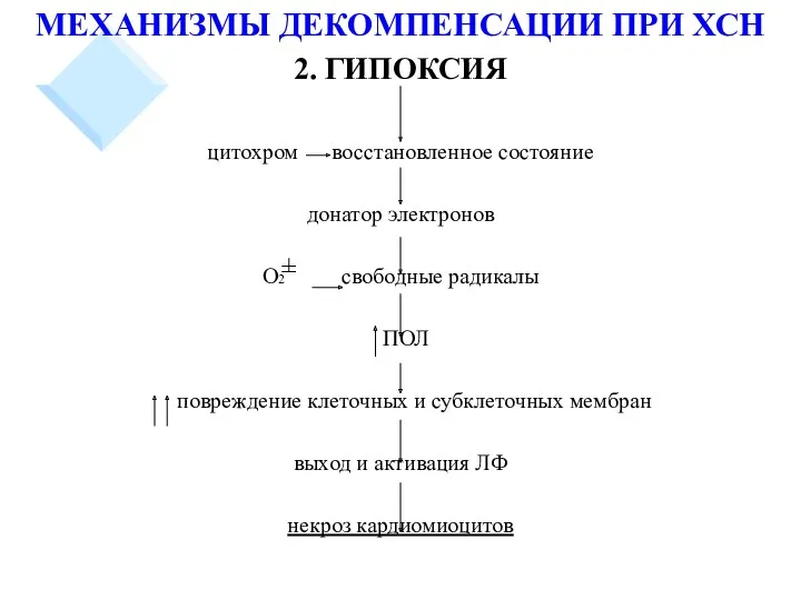 ± МЕХАНИЗМЫ ДЕКОМПЕНСАЦИИ ПРИ ХСН 2. ГИПОКСИЯ цитохром восстановленное состояние донатор электронов О2