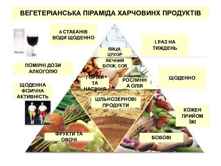 ВЕГЕТЕРІАНСЬКА ПІРАМІДА ХАРЧОВИНХ ПРОДУКТІВ 6 СТАКАНІВ ВОДИ ЩОДЕННО 1 РАЗ