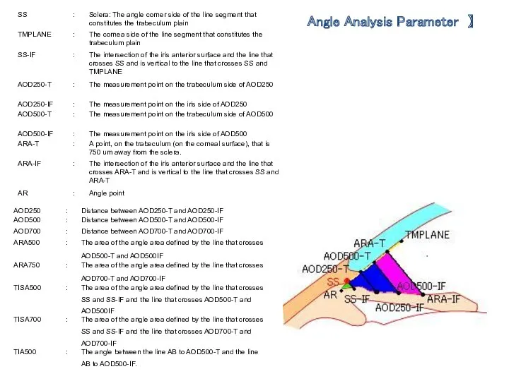 Angle Analysis Parameter 】