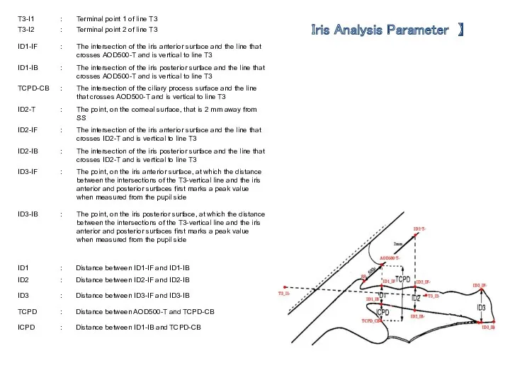Iris Analysis Parameter 】