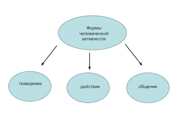 Формы человеческой активности поведение действие общение