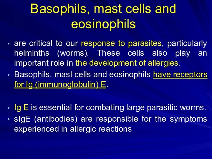 Basophils, mast cells and eosinophils are critical to our response