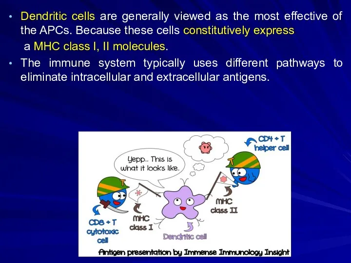Dendritic cells are generally viewed as the most effective of