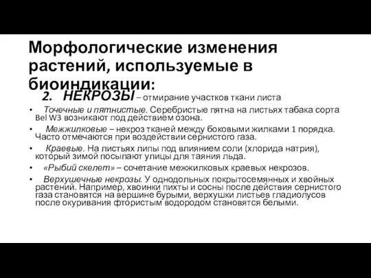 Морфологические изменения растений, используемые в биоиндикации: 2. НЕКРОЗЫ – отмирание