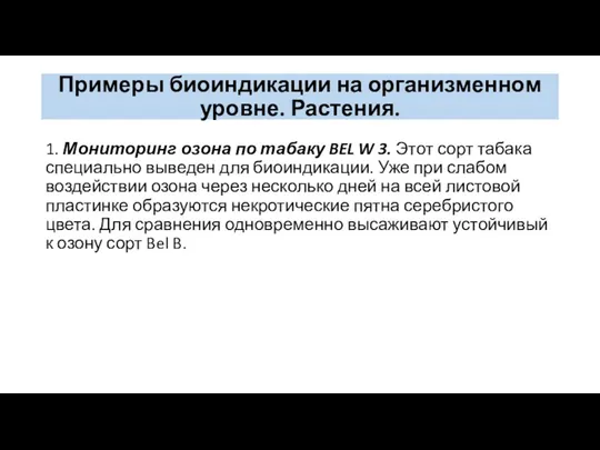 Примеры биоиндикации на организменном уровне. Растения. 1. Мониторинг озона по