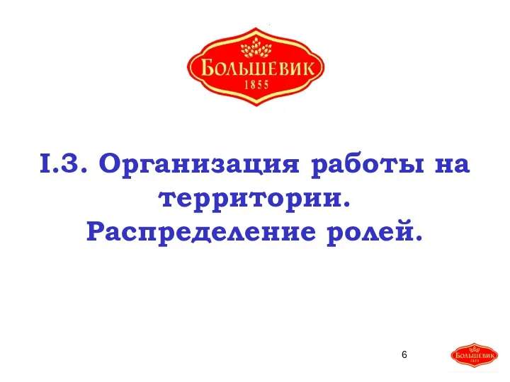 I.3. Организация работы на территории. Распределение ролей.