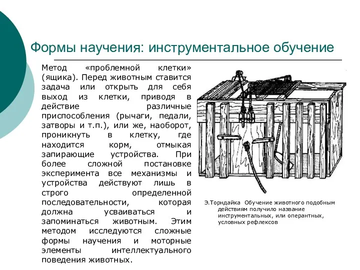 Формы научения: инструментальное обучение Метод «проблемной клетки» (ящика). Перед животным