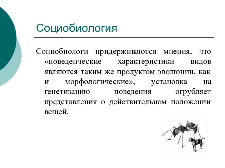 Социобиология Социобиологи придерживаются мнения, что «поведенческие характеристики видов являются таким