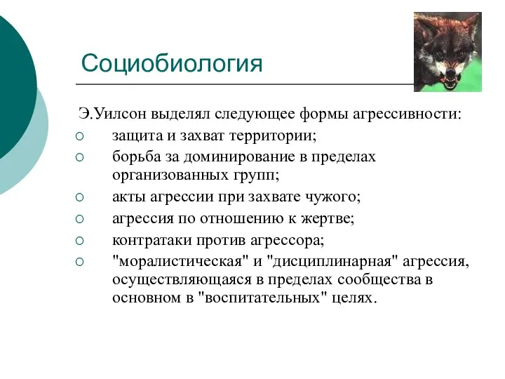 Социобиология Э.Уилсон выделял следующее формы агрессивности: защита и захват территории;