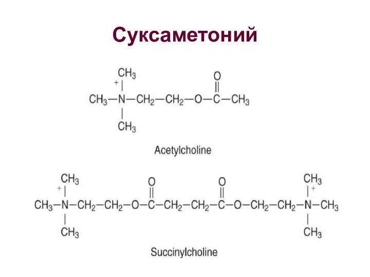 Суксаметоний