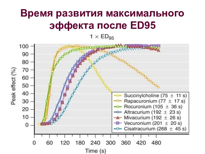 Время развития максимального эффекта после ED95