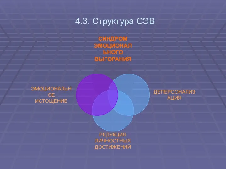 4.3. Структура СЭВ