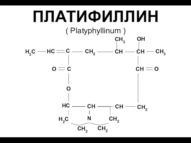 ПЛАТИФИЛЛИН ( Platyphyllinum )