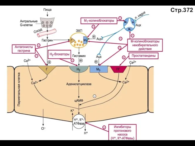 Стр.372