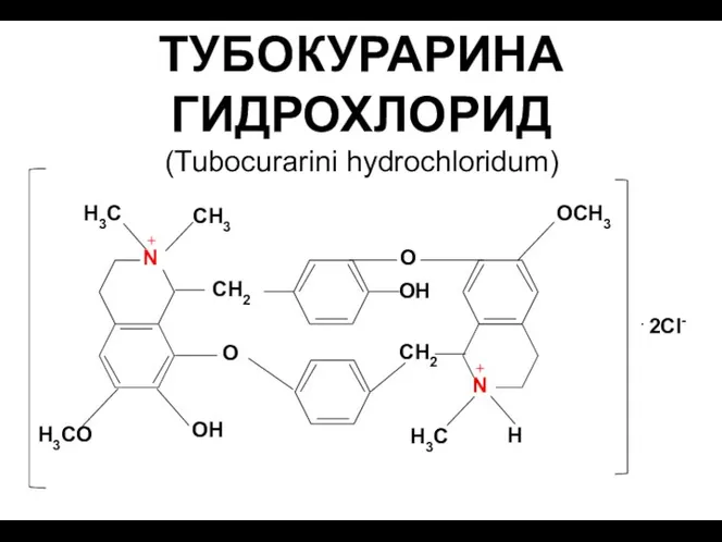ТУБОКУРАРИНА ГИДРОХЛОРИД (Tubocurarini hydrochloridum)