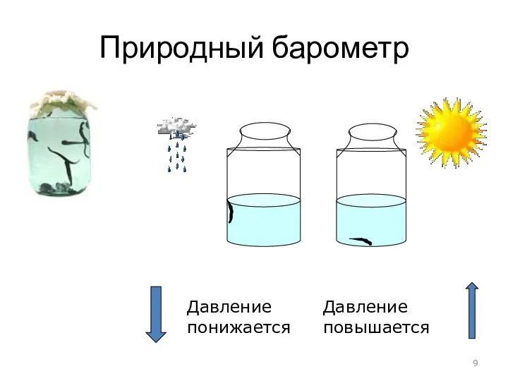 Природный барометр Давление понижается Давление повышается