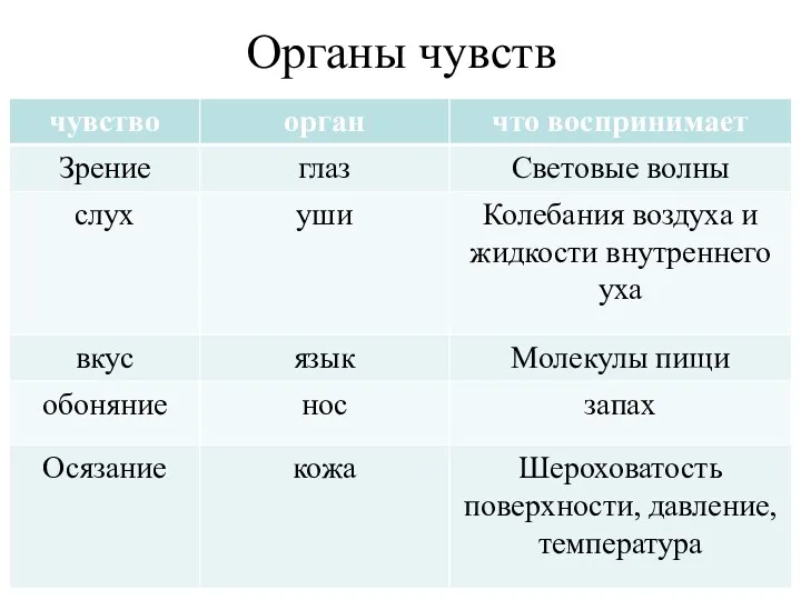 Органы чувств