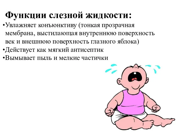 Функции слезной жидкости: Увлажняет конъюнктиву (тонкая прозрачная мембрана, выстилающая внутреннюю