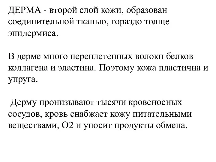 ДЕРМА - второй слой кожи, образован соединительной тканью, гораздо толще