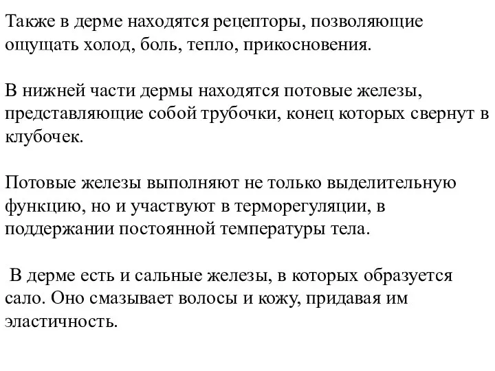 Также в дерме находятся рецепторы, позволяющие ощущать холод, боль, тепло,