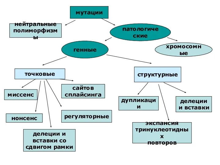 мутации нейтральные полиморфизмы патологические генные хромосомные точковые миссенс сайтов сплайсинга