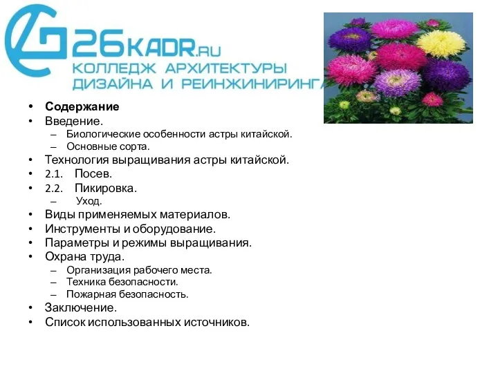 Содержание Введение. Биологические особенности астры китайской. Основные сорта. Технология выращивания