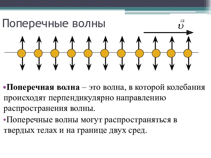 Поперечные волны Поперечная волна – это волна, в которой колебания