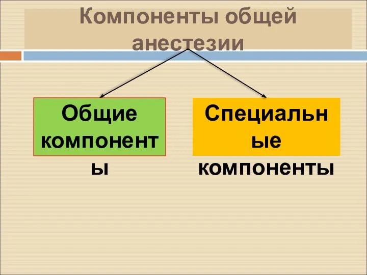 Компоненты общей анестезии Общие компоненты Специальные компоненты