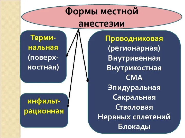 Формы местной анестезии Проводниковая (регионарная) Внутривенная Внутрикостная СМА Эпидуральная Сакральная