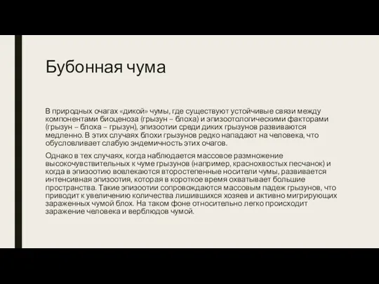 Бубонная чума В природных очагах «дикой» чумы, где существуют устойчивые связи между компонентами