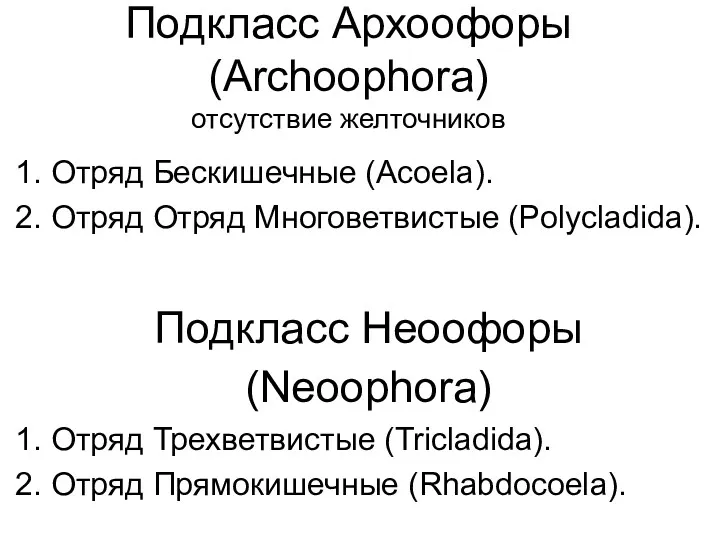 Подкласс Архоофоры (Archoophora) отсутствие желточников 1. Отряд Бескишечные (Acoela). 2.