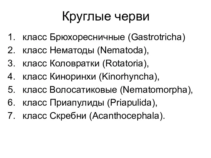 Круглые черви класс Брюхоресничные (Gastrotricha) класс Нематоды (Nematoda), класс Коловратки