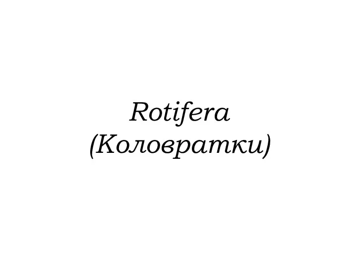 Rotifera (Коловратки)