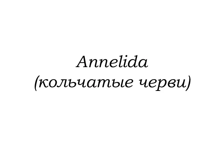 Annelida (кольчатые черви)