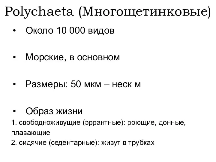 Polychaeta (Многощетинковые) Около 10 000 видов Морские, в основном Размеры: