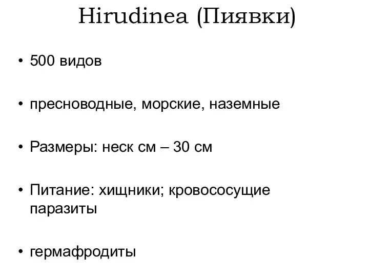 Hirudinea (Пиявки) 500 видов пресноводные, морские, наземные Размеры: неск см