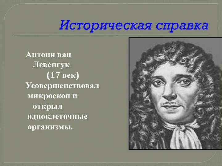 Историческая справка Антони ван Левенгук (17 век) Усовершенствовал микроскоп и открыл одноклеточные организмы.