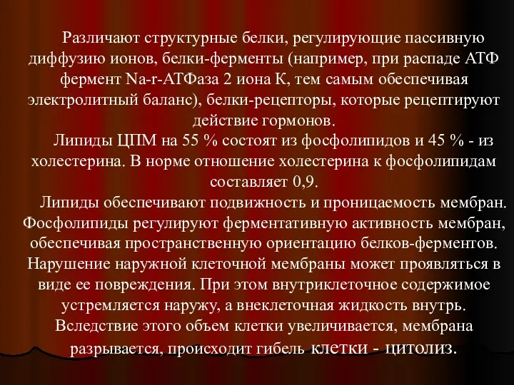 Различают структурные белки, регулирующие пассивную диффузию ионов, белки-ферменты (например, при