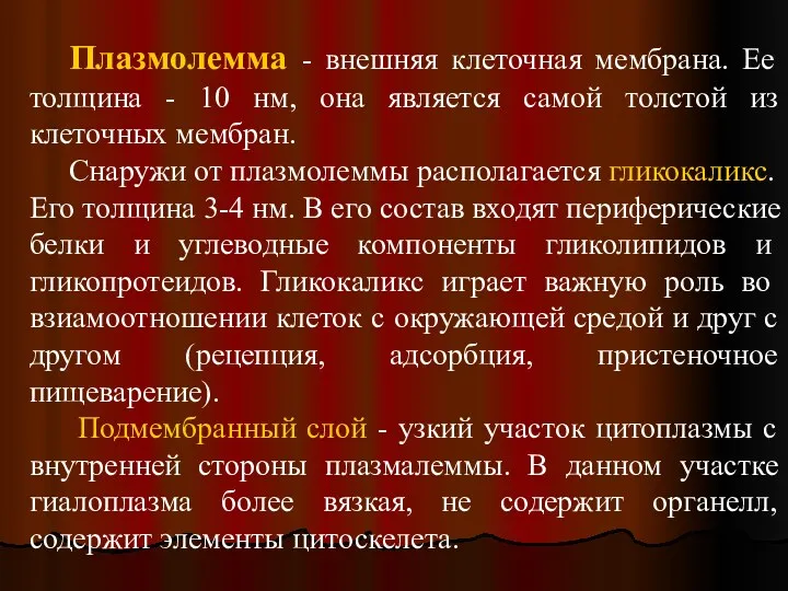 Плазмолемма - внешняя клеточная мембрана. Ее толщина - 10 нм,