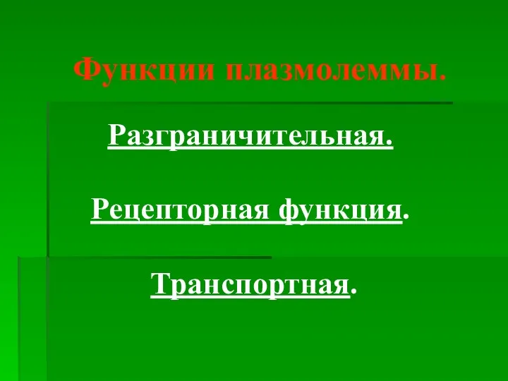 Функции плазмолеммы. Разграничительная. Рецепторная функция. Транспортная.