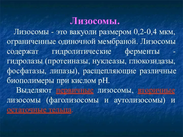 Лизосомы. Лизосомы - это вакуоли размером 0,2-0,4 мкм, ограниченные одиночной