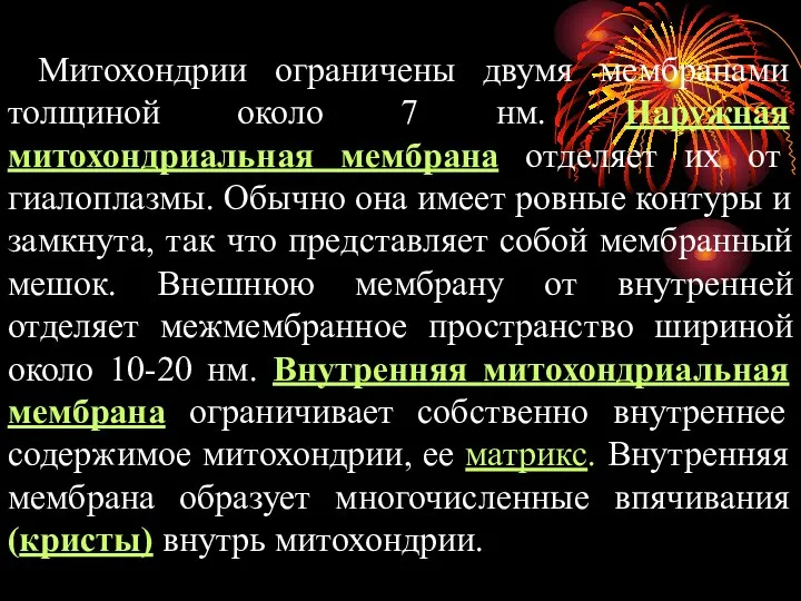 Митохондрии ограничены двумя мембранами толщиной около 7 нм. Наружная митохондриальная