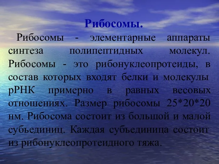 Рибосомы. Рибосомы - элементарные аппараты синтеза полипептидных молекул. Рибосомы -