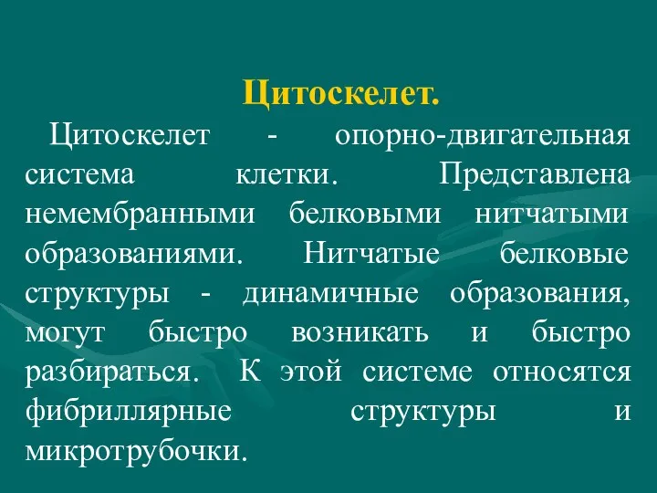 Цитоскелет. Цитоскелет - опорно-двигательная система клетки. Представлена немембранными белковыми нитчатыми